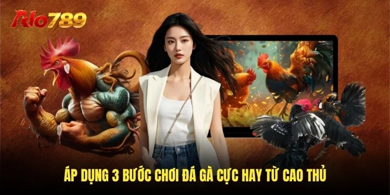 Áp dụng 3 bước chơi đá gà cực hay từ cao thủ Áp dụng 3 bước chơi đá gà cực hay từ cao thủ