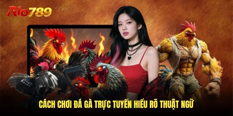 Cách chơi đá gà trực tuyến hiểu rõ thuật ngữ