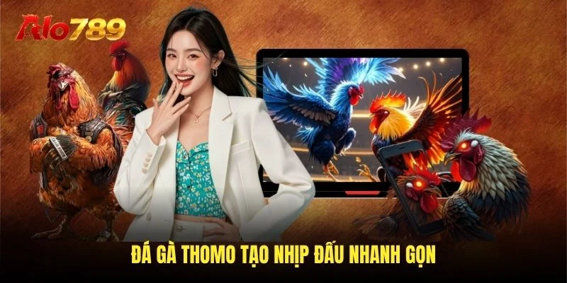 Đá gà thomo tạo nhịp đấu nhanh gọn