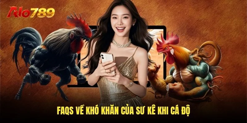 Câu hỏi thường gặp về khó khăn của giáo sư khi cá độ