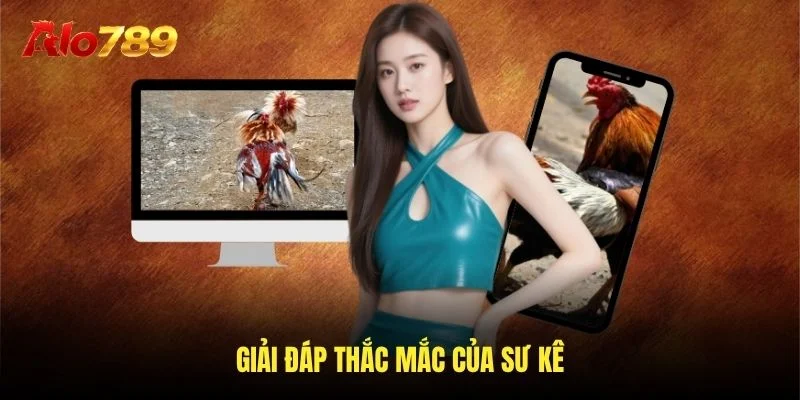 Giải đáp thắc mắc của sư kê