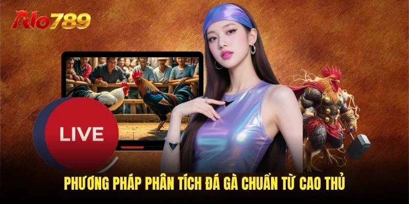 Phương pháp phân tích đá gà chuẩn từ cao thủ