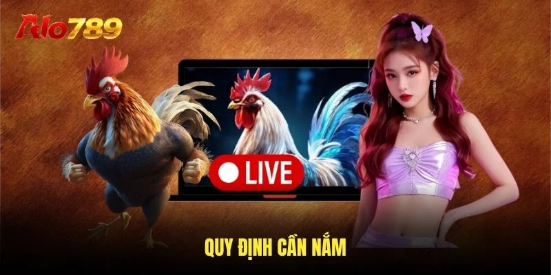 Quy định cần nắm