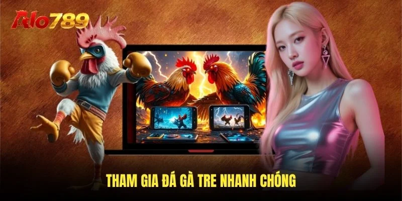 Tham gia đá gà tre nhanh chóng