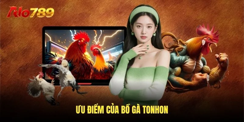 Ưu điểm của bồ bồ tonhon